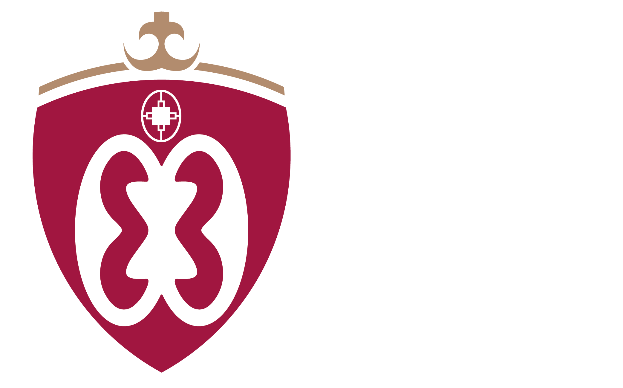 University of Media, Arts and Communication - NAFTI